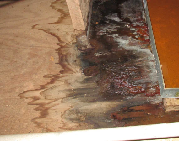 Water Damage Repair 1