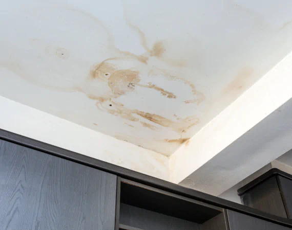 Water Damage Repair